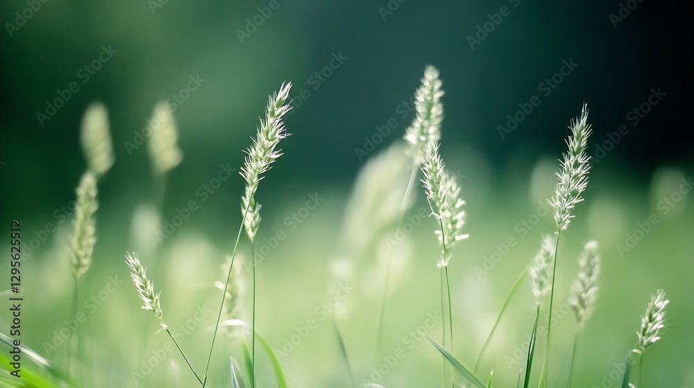 Delicate Blades of Green Grass Swaying in the Gentle Breeze Under Bright Light : Generative AI Delicate Blades of Green Grass Swaying in the Gentle Breeze Under Bright Light : Generative AI