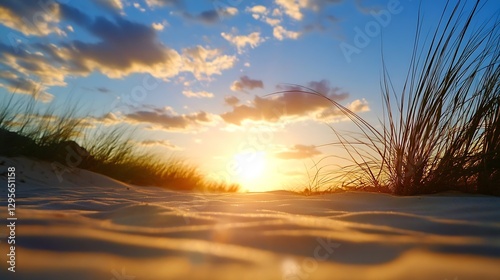 Breathtaking sunset over sandy beach with grass and golden light illuminating the horizon : Generative AI