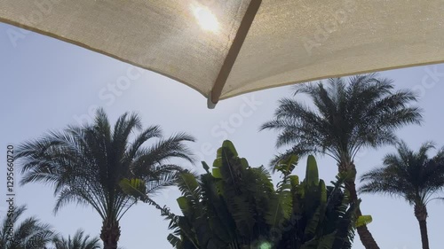 A view looking up at palm trees and beach umbrellas against a clear blue sky on a sunny day. Ideal for themes related to summer, vacations, tropical destinations, relaxation, and outdoor leisure