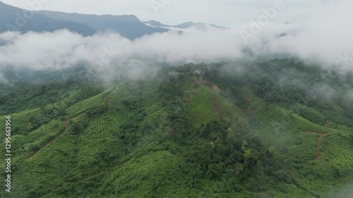 A drone glides through white clouds, revealing a spectacular aerial view of lush, fog-kissed forest hills.