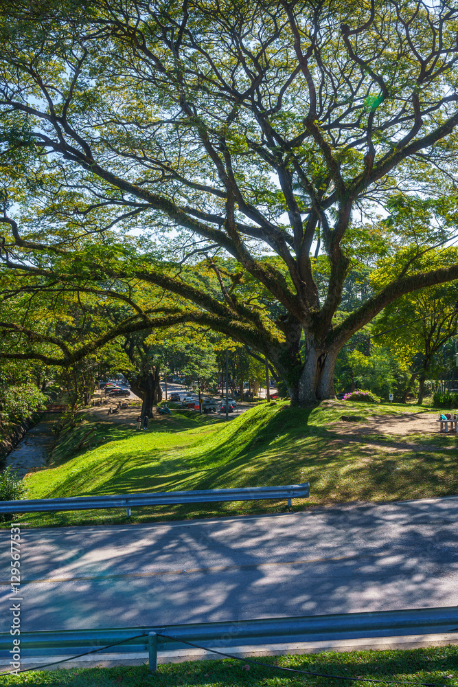a public place leisure travel landscape lake views at Ang Kaew Chiang Mai University and Doi Suthep nature forest Mountain views spring cloudy sky background with white cloud.