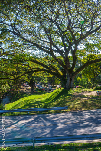 Obraz na płótnie a public place leisure travel landscape lake views at Ang Kaew Chiang Mai University and Doi Suthep nature forest Mountain views spring cloudy sky background with white cloud. w salonie