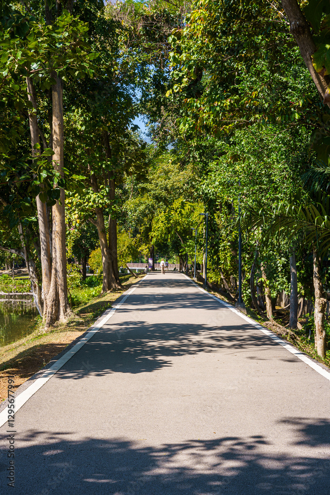 a public place leisure travel landscape lake views at Ang Kaew Chiang Mai University and Doi Suthep nature forest Mountain views spring cloudy sky background with white cloud.