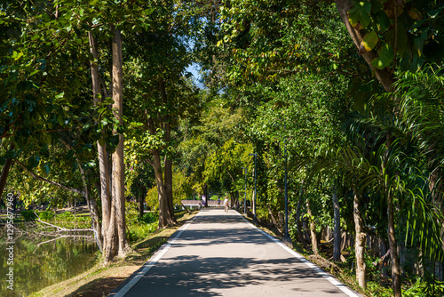 Obraz na płótnie a public place leisure travel landscape lake views at Ang Kaew Chiang Mai University and Doi Suthep nature forest Mountain views spring cloudy sky background with white cloud. w salonie