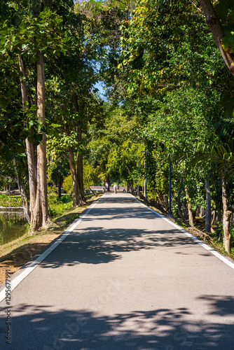 Obraz na płótnie a public place leisure travel landscape lake views at Ang Kaew Chiang Mai University and Doi Suthep nature forest Mountain views spring cloudy sky background with white cloud. w salonie