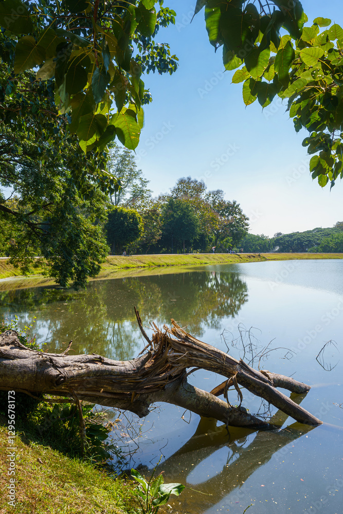 a public place leisure travel landscape lake views at Ang Kaew Chiang Mai University and Doi Suthep nature forest Mountain views spring cloudy sky background with white cloud.