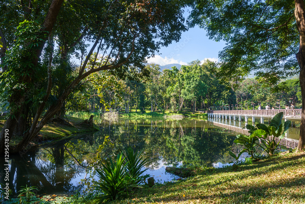a public place leisure travel landscape lake views at Ang Kaew Chiang Mai University and Doi Suthep nature forest Mountain views spring cloudy sky background with white cloud.