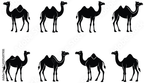 Camel Silhouette Collection. Camel icons. Camels Vector Silhouette set. Camel vector shilhouette bundle
