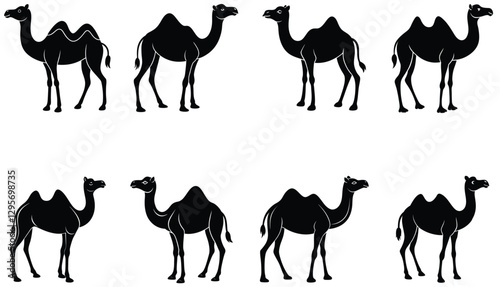 Camel Silhouette Collection. Camel icons. Camels Vector Silhouette set. Camel vector shilhouette bundle