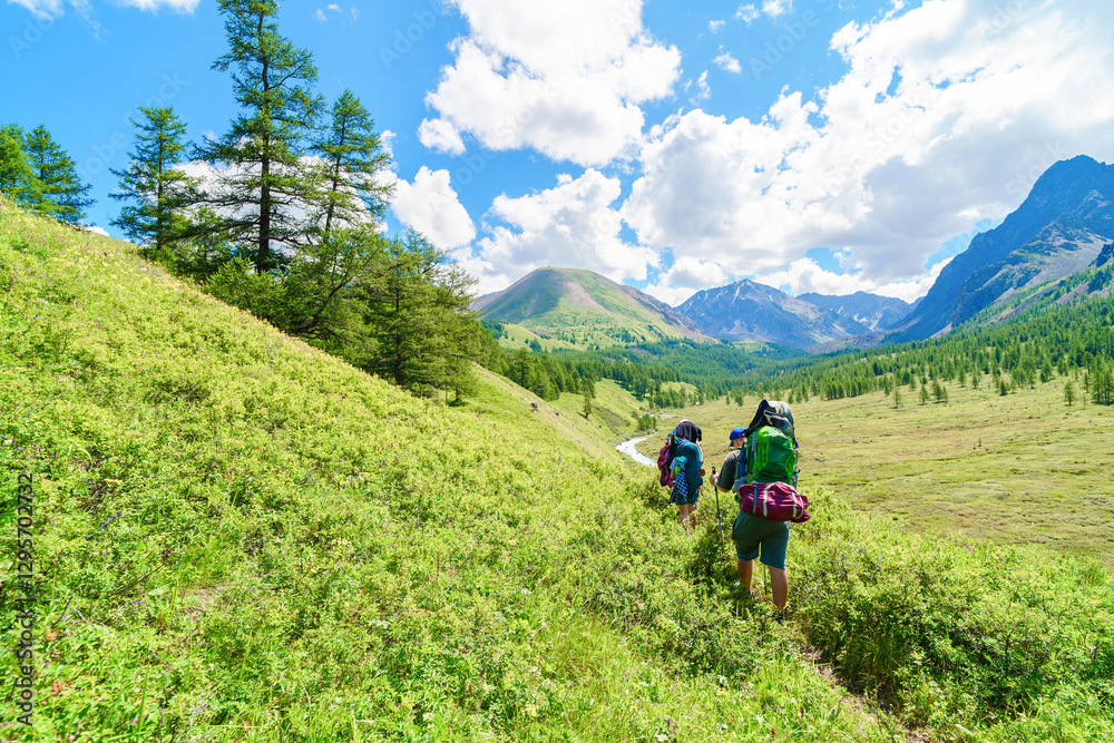 Fototapeta premium trekking in the backcountry in summer