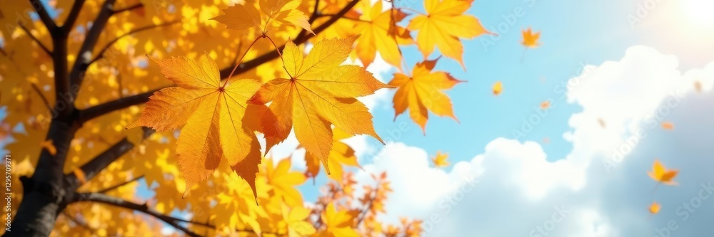 Golden leaves falling from yellow maple tree branches, sky, autumn, foliage Golden leaves falling from yellow maple tree branches, sky, autumn, foliage