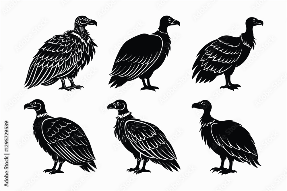 Fototapeta premium Set of condor bird vector illustration.