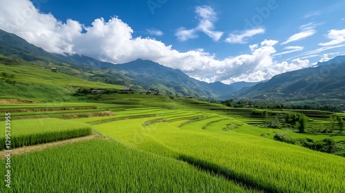 Breathtaking Aerial View of Verdant Rice Terraces and Majestic Mountains : Generative AI