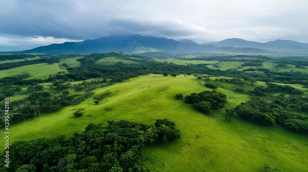 Stunning aerial view of green rolling hills and scenic landscape under a cloudy sky : Generative AI Stunning aerial view of green rolling hills and scenic landscape under a cloudy sky : Generative AI