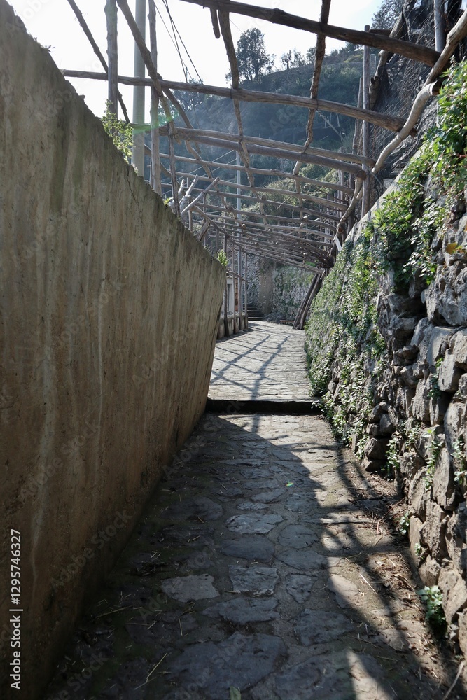 Maiori - Pergolato in Via Torre