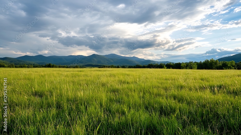 Scenic Green Meadow Landscape Under Dramatic Cloudy Sky in Nature : Generative AI Scenic Green Meadow Landscape Under Dramatic Cloudy Sky in Nature : Generative AI
