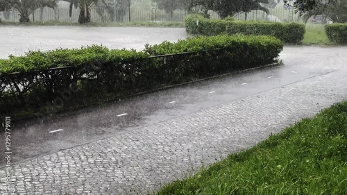 Heavy tropical downpour on a summer day. Downpour in a deserted city. Torrential tropical rain with a heavy wind on a background of green: palm trees, trees and bushes in the city park. Rainy weather.