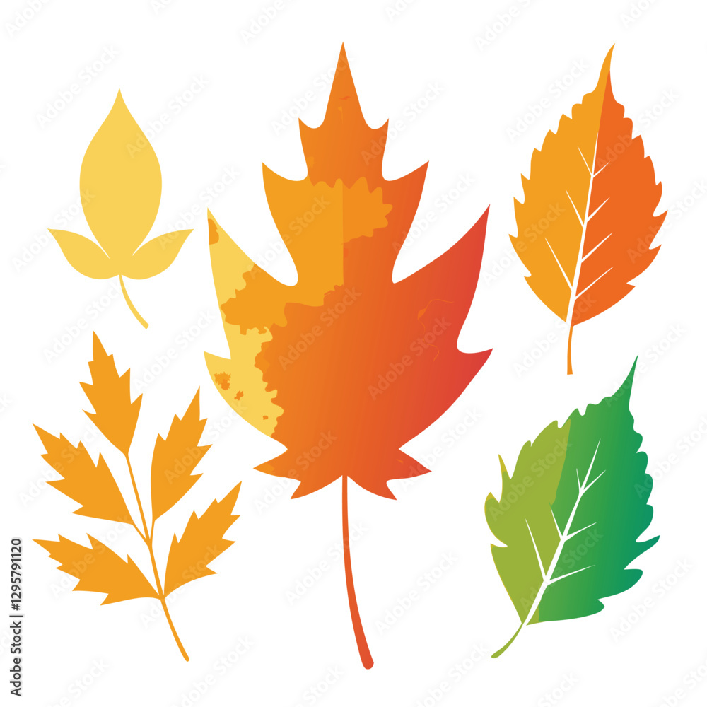 autumn leaves isolated on white autumn leaves isolated on white