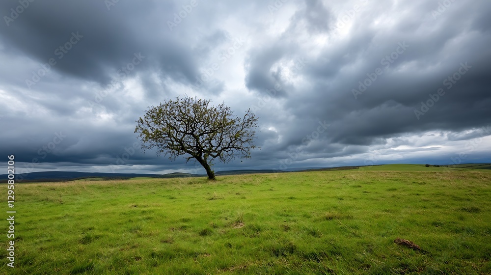 Lone tree standing resilient on green hill under stormy skies with dramatic clouds : Generative AI Lone tree standing resilient on green hill under stormy skies with dramatic clouds : Generative AI