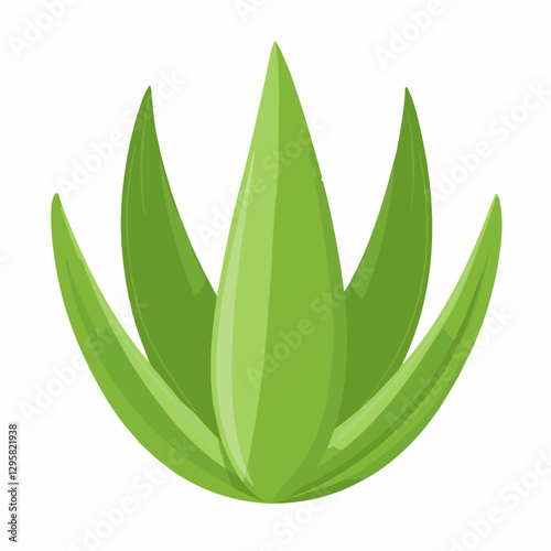 Simple flat 2D icon aloe vera leaf isolated on a white background, vector, flat design, animation design, vector, flat design, animation design, simple flat 2D icon, minimalist and modern design