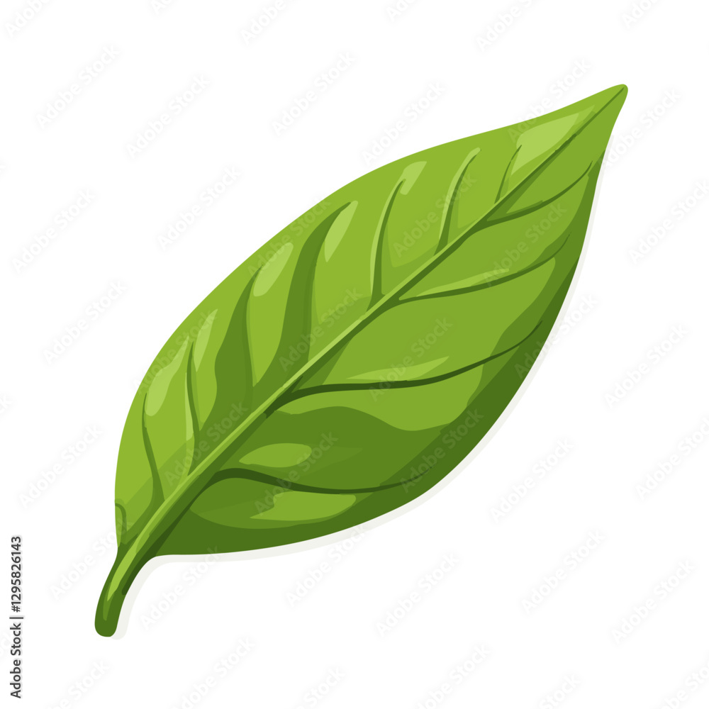 Obraz premium A Simple flat 2D icon green basil leaves isolated on a transparent background, vector, flat design, animation design, vector, flat design, simple flat 2D icon