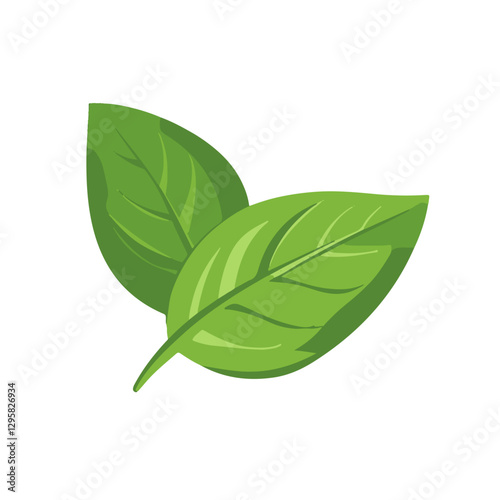 A Simple flat 2D icon green basil leaves isolated on a transparent background, vector, flat design, animation design, vector, flat design, simple flat 2D icon