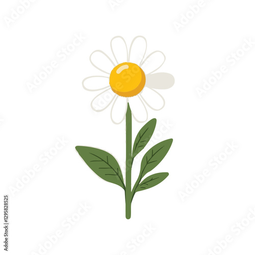 Simple flat 2D illustration of a white chamomile flower branch isolated on a white background, vector 2D design, icon, flat 2d illustration art, flat icon, vector illustration, flower collection