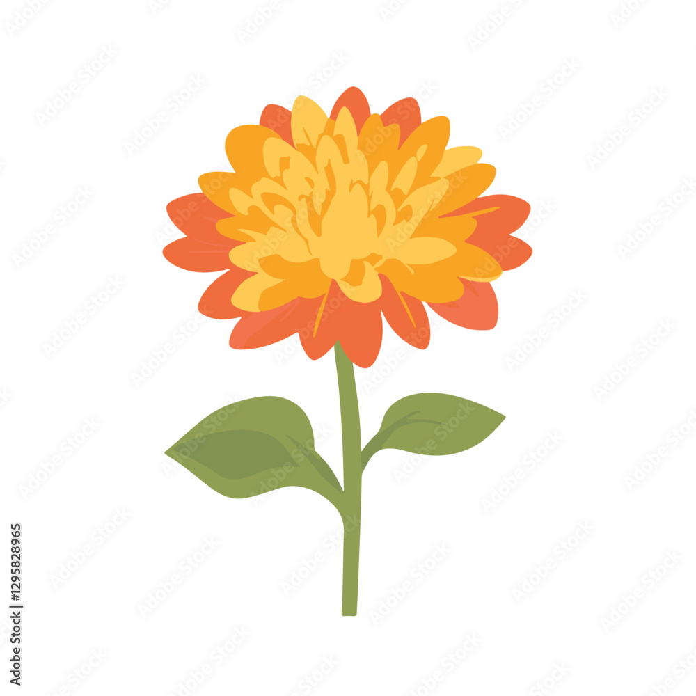 A flat 2D vector illustration of an orange chrysanthemum branch set, designed as an icon and isolated on a white background. simple icon design, flower set collection A flat 2D vector illustration of an orange chrysanthemum branch set, designed as an icon and isolated on a white background. simple icon design, flower set collection