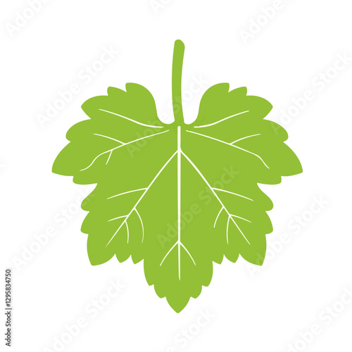 A 2D simple grapevine leaf motion graphic flat-design vector animation style, in white background, flat design, animation design, vector, flat design, logo.