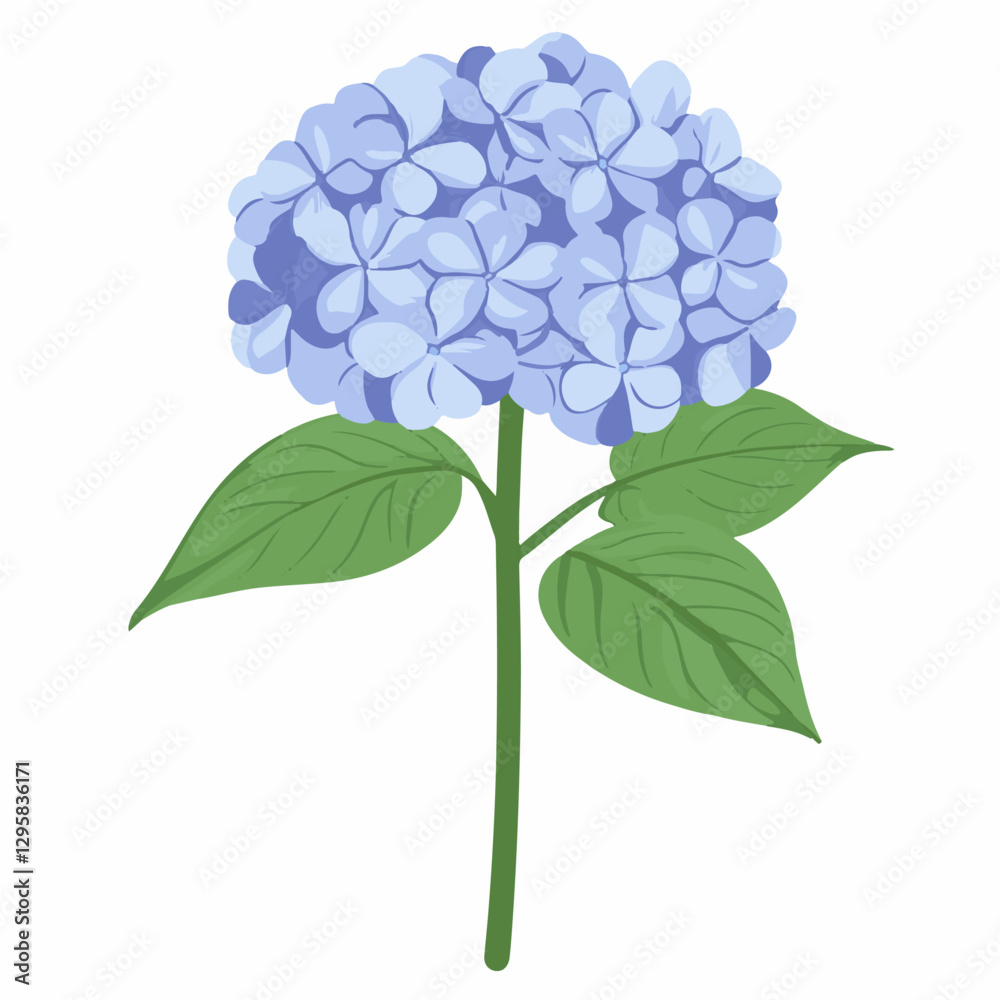 A simple flat 2D icon blue hydrangea isolated on a transparent background, vector, flat design, animation design, vector, flat design, animation design, simple flat icon, minimalist. flower icon set A simple flat 2D icon blue hydrangea isolated on a transparent background, vector, flat design, animation design, vector, flat design, animation design, simple flat icon, minimalist. flower icon set
