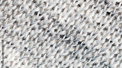 gray cotton fabric with a visible weave