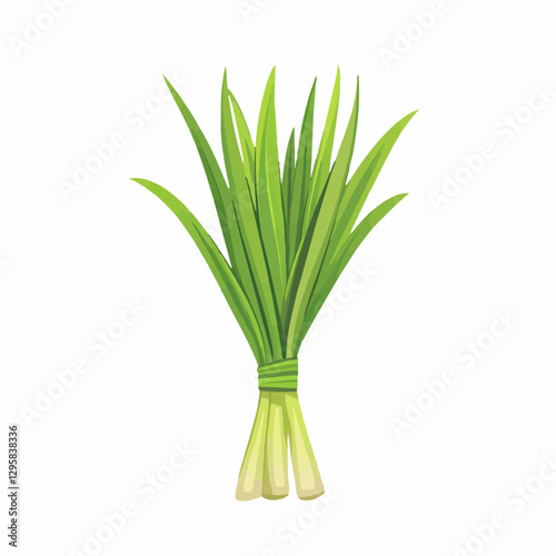 Simple flat 2D icon lemongrass isolated on a white background, vector, flat design, animation design, vector, flat design, simple flat 2D icon, minimalist and modern, flat design