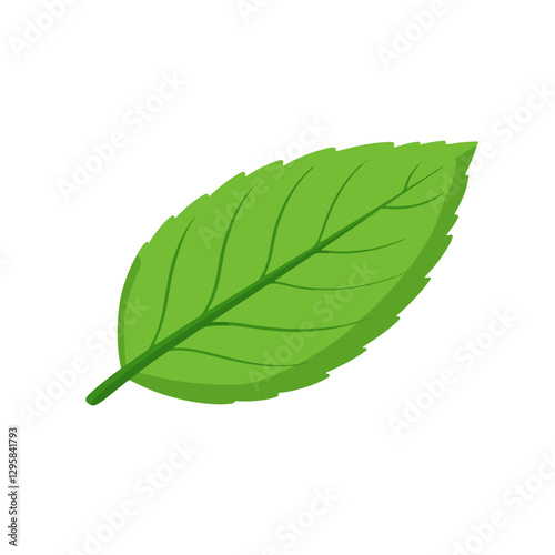 Simple flat 2D icon green mint leaf isolated on blue background, vector, flat design, animation design, animation design, simple flat 2D icon, clipart