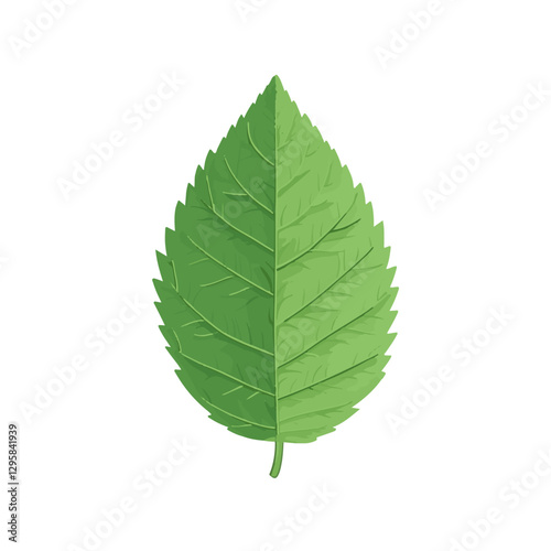 A Simple icon flat 2D icon mint leaf isolated on a transparent background, vector, animation design, simple flat 2D icon, minimalist design and modern illustration