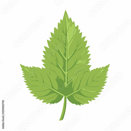 A Simple icon flat 2D icon nettle leaf isolated on a transparent background, vector, animation design, simple flat 2D icon, minimalist design and modern illustration