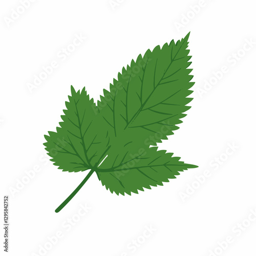 Simple flat 2D icon green nettle leaf isolated on blue background, vector, flat design, animation design, animation design, simple flat 2D icon, clipart