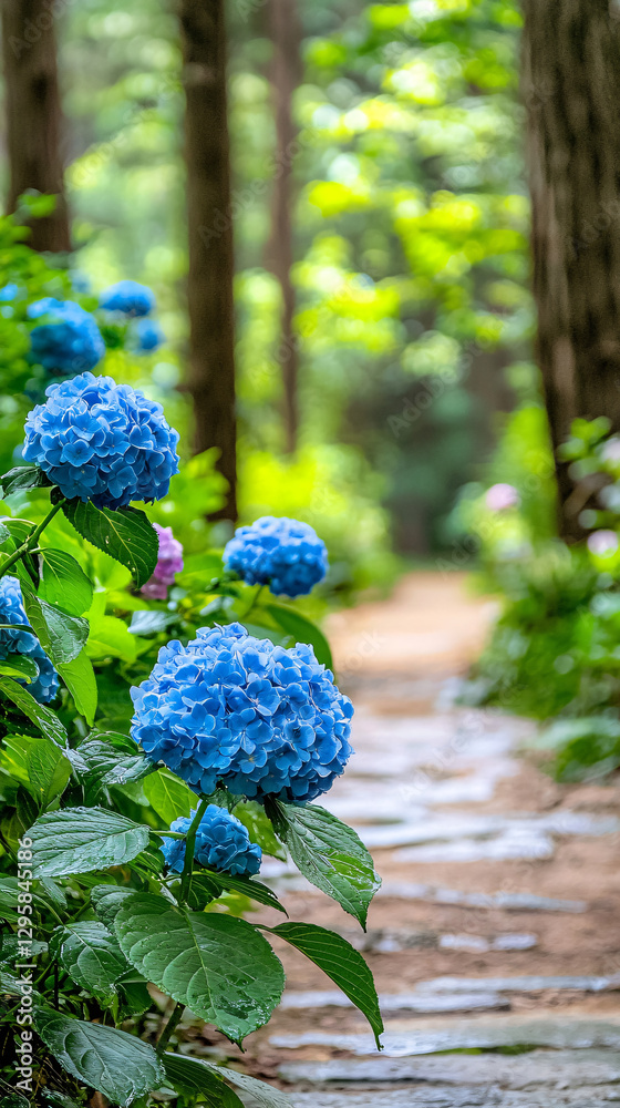 A serene pathway lined with vibrant blue hydrangeas, surrounded by lush greenery, leading into a tranquil forest setting. A serene pathway lined with vibrant blue hydrangeas, surrounded by lush greenery, leading into a tranquil forest setting.
