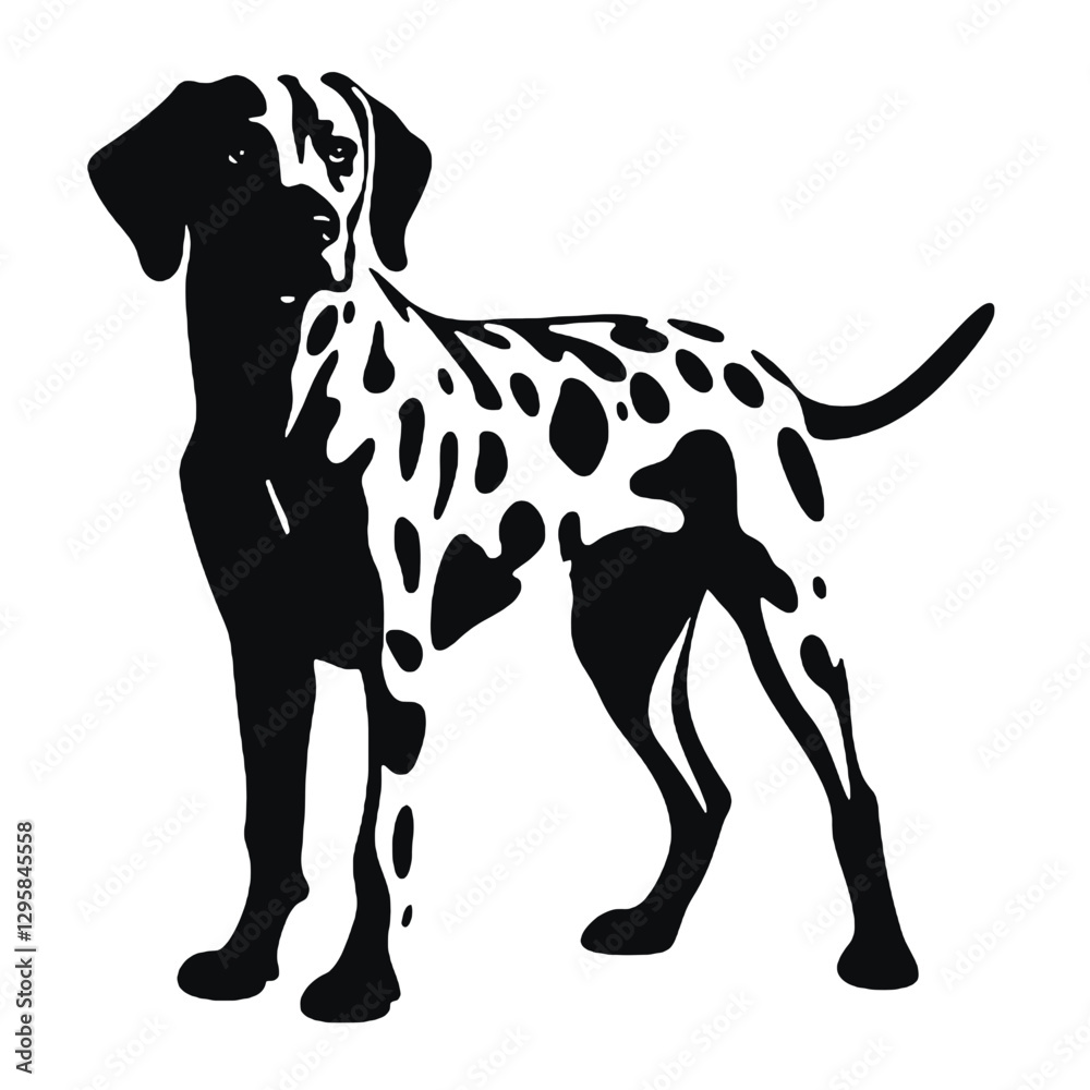 Fototapeta premium Dalmatian dog - Vector black silhouette isolated
