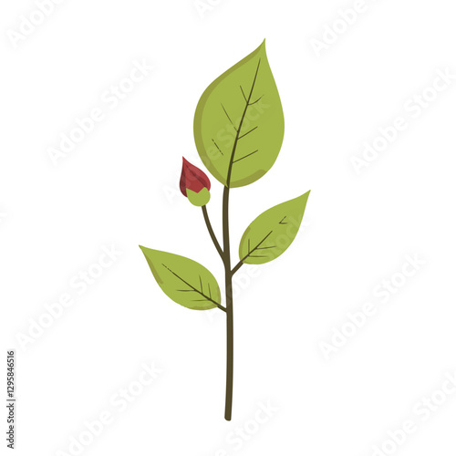 Simple flat 2D icon rose leaf and buds isolated on white background, vector, flat design, animation design, animation design, simple flat 2D icon, clipart
