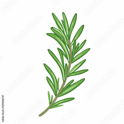 A Simple icon flat 2D icon rosemary leaf branch isolated on a transparent background, vector, animation design, simple flat 2D icon, minimalist design and modern illustration