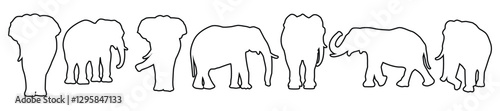Elephants outline silhouettes. Isolated on white background. Vector illustration