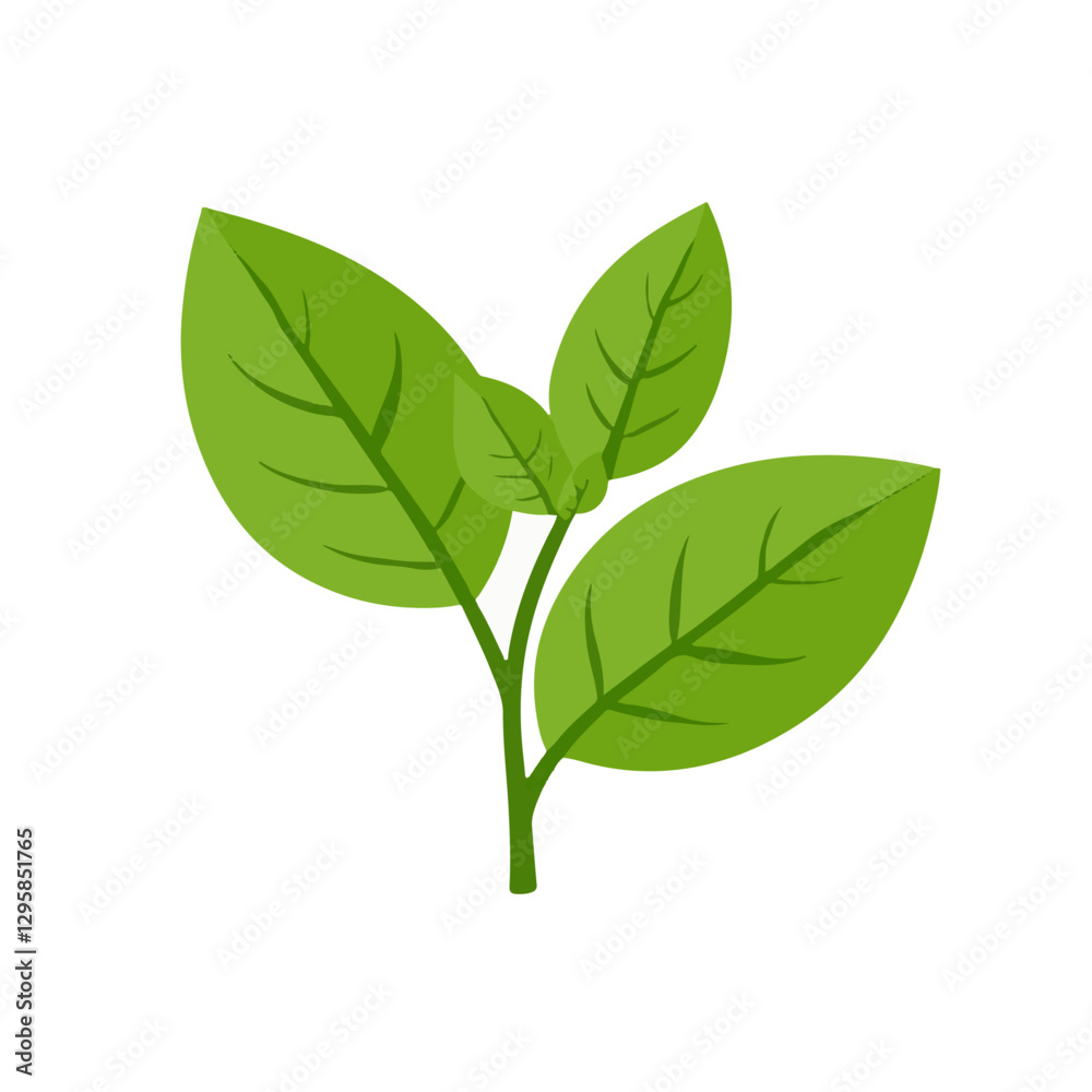 A Simple icon flat 2D icon basil isolated on a transparent background, vector, animation design, simple flat 2D icon, minimalist design and modern illustration A Simple icon flat 2D icon basil isolated on a transparent background, vector, animation design, simple flat 2D icon, minimalist design and modern illustration