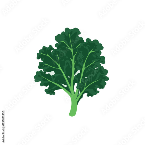 A Simple icon flat 2D icon kale leaves isolated on a transparent background, vector, flat design, animation design, simple flat 2D icon, minimalist design