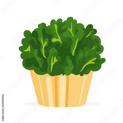 A Simple icon flat 2D icon kale isolated on a transparent background, vector, flat design, animation design, simple flat 2D icon, minimalist design