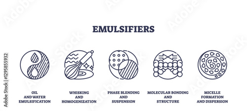 Emulsifiers are depicted with icons representing oil-water mixing, whisking, and molecular bonding. Outline icons set.