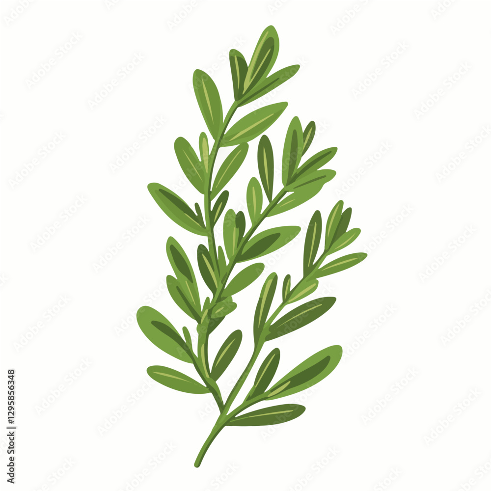 Fototapeta premium Simple flat 2D icon rosemary isolated on a transparent background, vector, flat design, animation design, vector, flat design, animation design, simple flat 2D icon, minimalist design