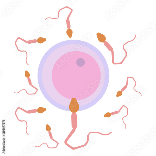 Fertilization colored icon