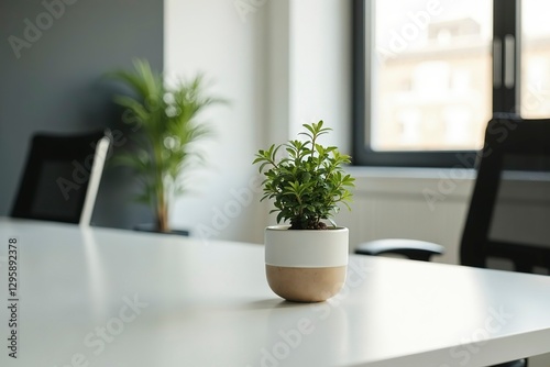 A potted plant on a modern desk, symbolizing simplicity and focus in a clean workspace.