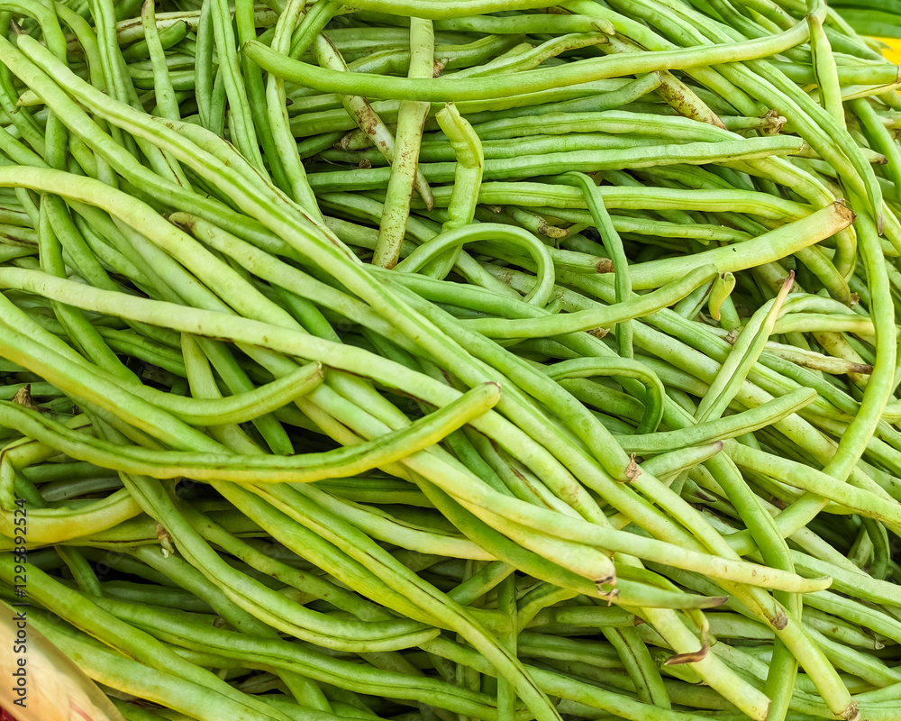 Heap of Fresh yardlong Green Beans Piled Together in Natural Light Heap of Fresh yardlong Green Beans Piled Together in Natural Light