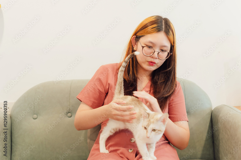 girl and Persian cat girl and Persian cat